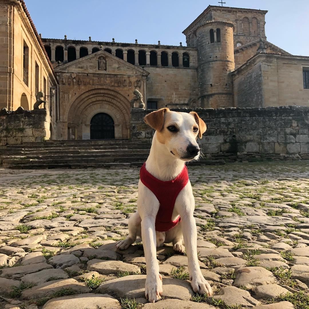 Momento de postal en Santillana del Mar (2018).