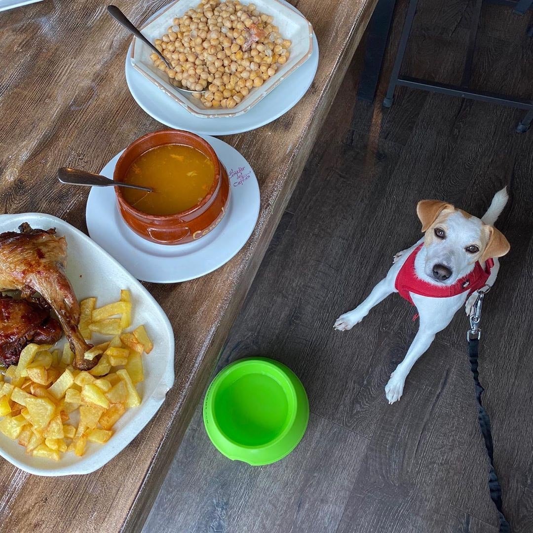 Pipper, feliz en su paso por Liébana, con la gastronomía cántabra como referente.