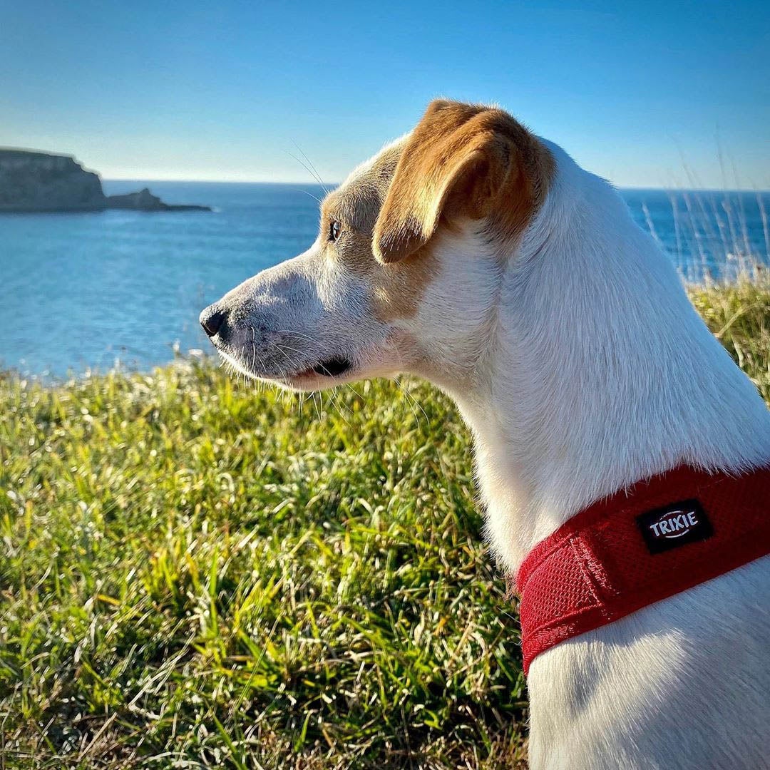 Disfrutando de las vistas en la Playa de Langre.