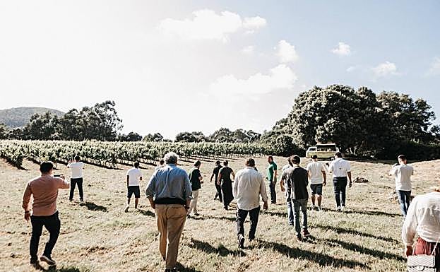 Visita a los viñedos.