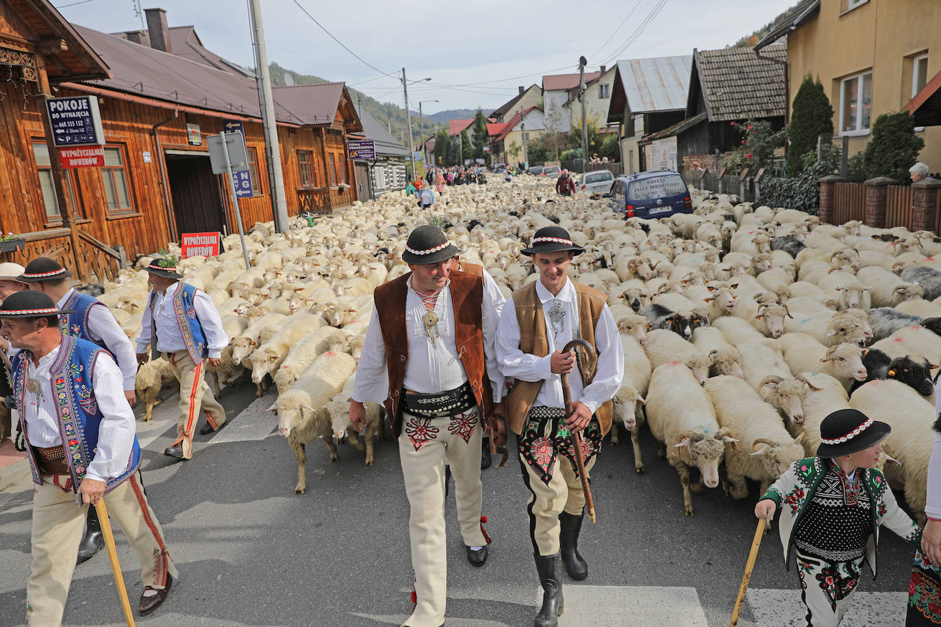 Los pastores se dirigen a los montes Tatras en Polonia con sus ovejas.