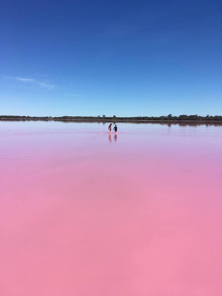 Lago Hillier (Australia) | Con más de 600 metros, este lago tiene un particular y permanente tono rosado que se debe a dos bacterias que habitan sus aguas y que logran sobrevivir a su elevada cantidad de sal.