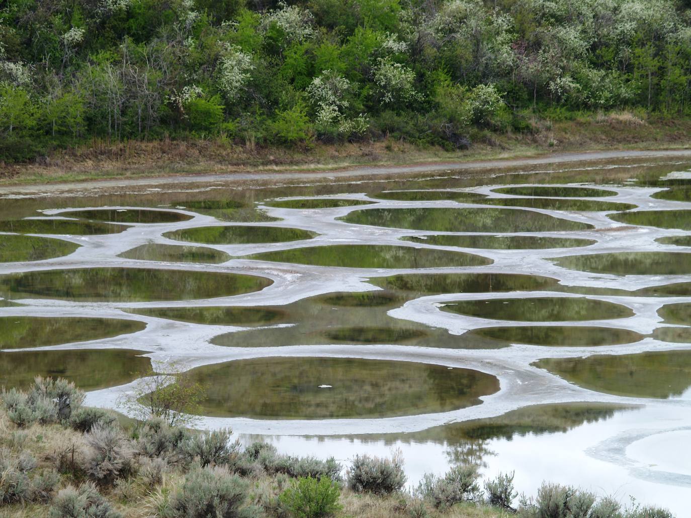 Spotted Lake (Canadá) | Un lago lleno de formas geométricas y colores, que se deben a las 365 pozas que hay en su interior. Antiguamente, cuando se creía que el agua tenía posibilidades curativas, se consideraba un lugar mágico, pero la realidad es que sus agujeros cambian de color por la riqueza mineral del agua.