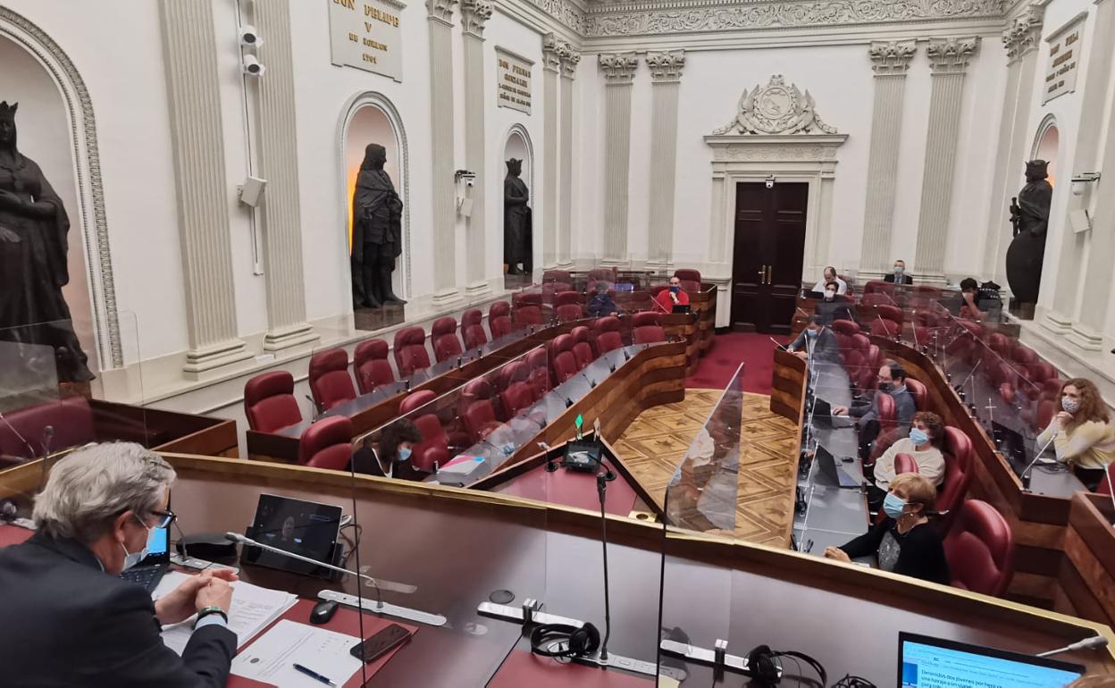 Las Juntas de Álava vuelven a los plenos telemáticos tras al menos un positivo