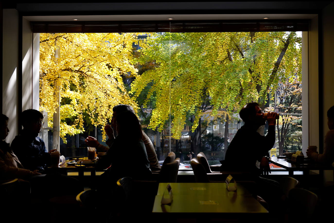 La gente disfruta de una pausa para el café en un día de otoño en medio de la pandemia de la enfermedad del coronavirus en Corea del Sur.