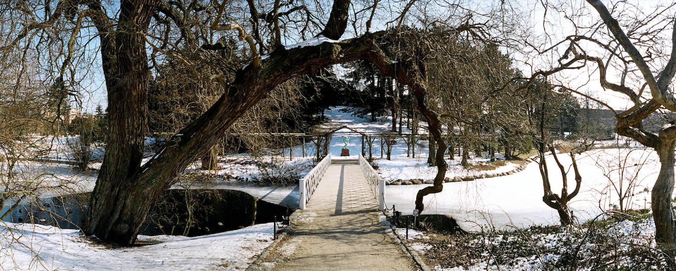 Copenhague (Dinamarca)