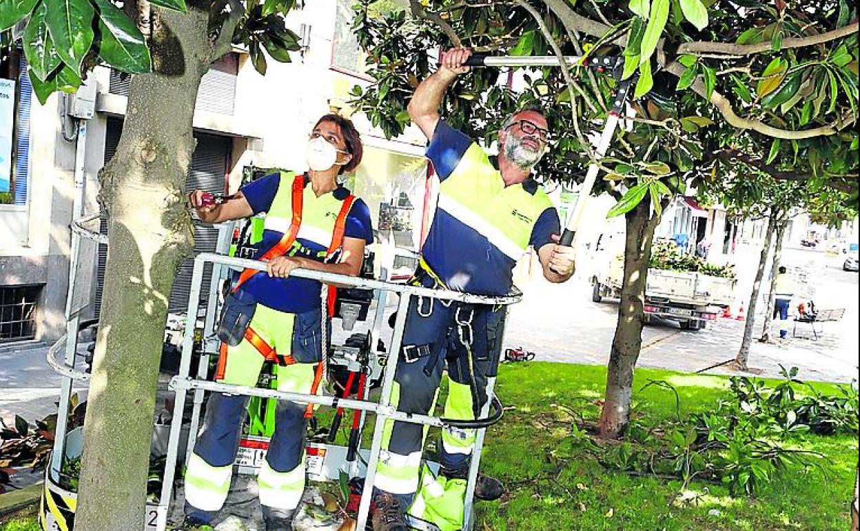 La de jardineros en una de las bolsas que estaba vacía. 