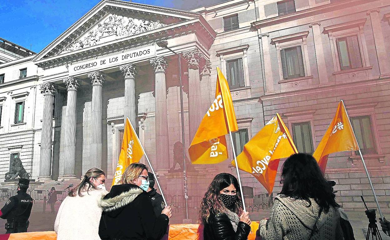 Decenas de personas se concentraron el jueves frente al Congreso para protestar por la aprobación de la 'ley Celaá'. 