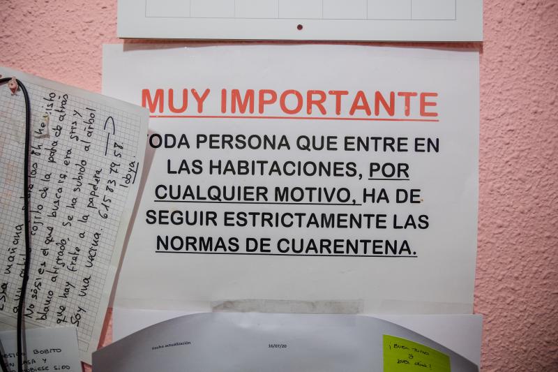 Fotos: La esperanza de los gatos sin hogar