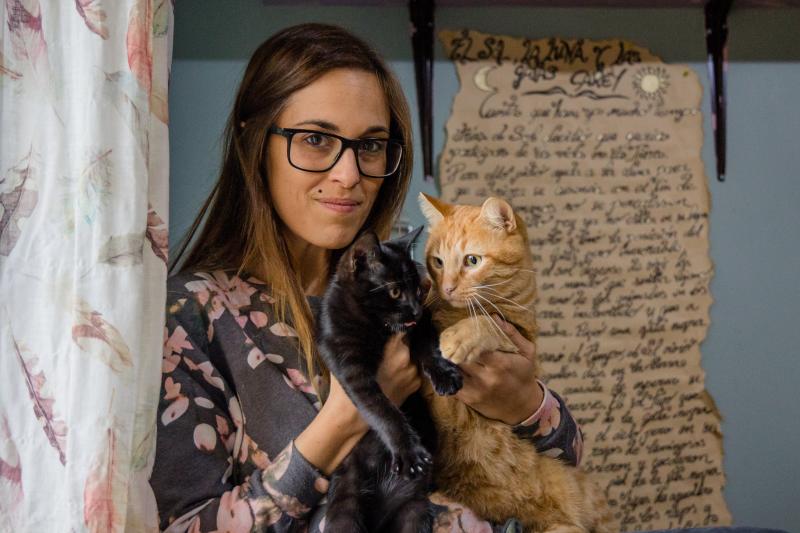 Fotos: La esperanza de los gatos sin hogar