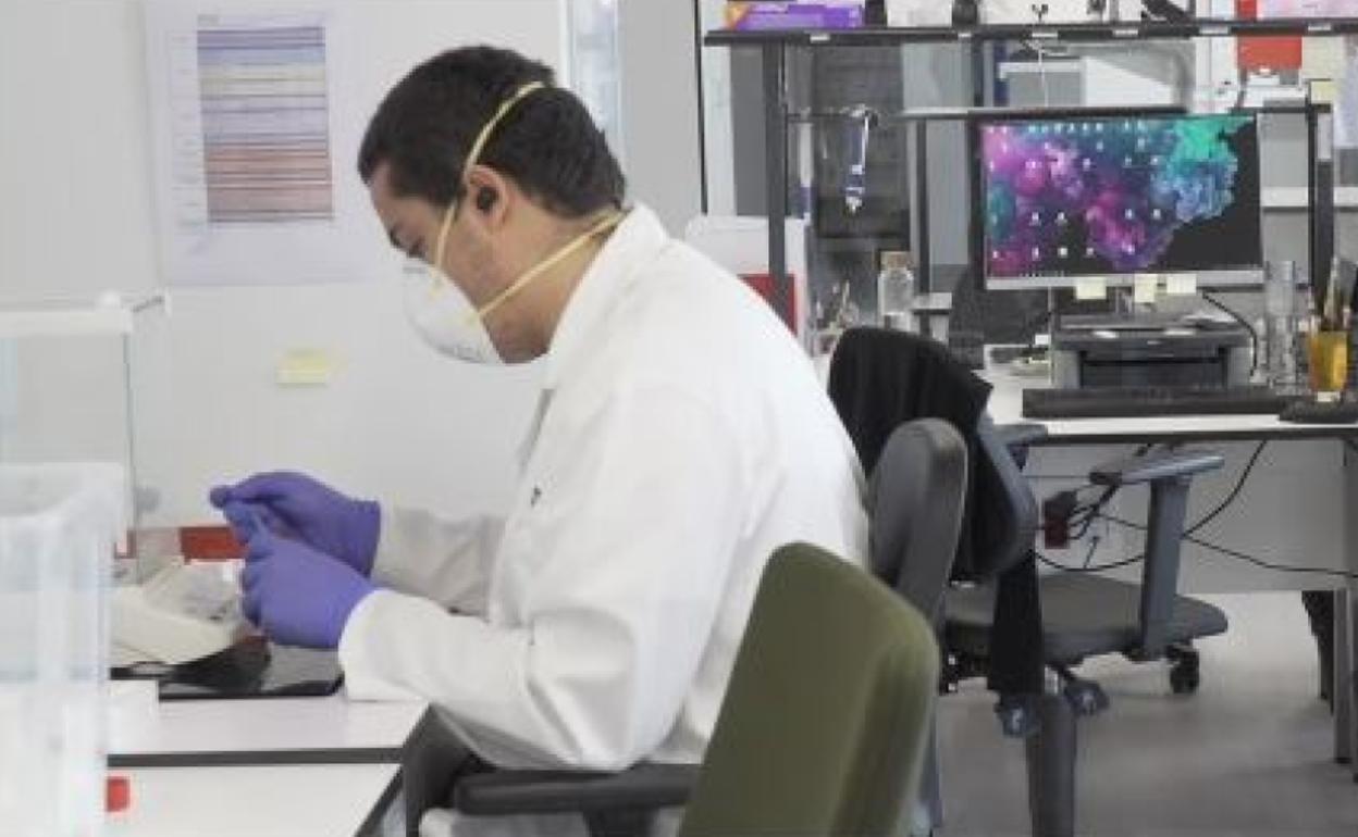 Biolan | Empresa digital del año en los premios DigitalTek