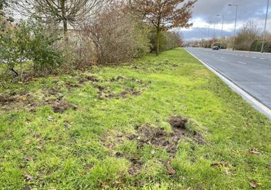 Imagen secundaria 1 - Las marcas de los jabalíes son perfectamente visibles en Salburua. 
