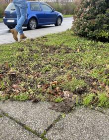 Imagen secundaria 2 - Las marcas de los jabalíes son perfectamente visibles en Salburua. 