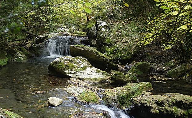 Cauce del arroyo de Valdegovía.