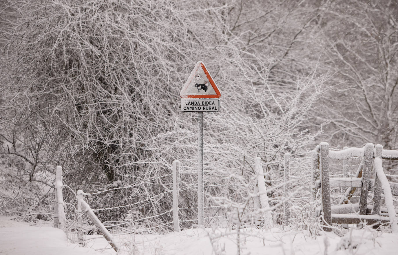 Fotos: Las imágenes que deja la nieve hoy en Álava