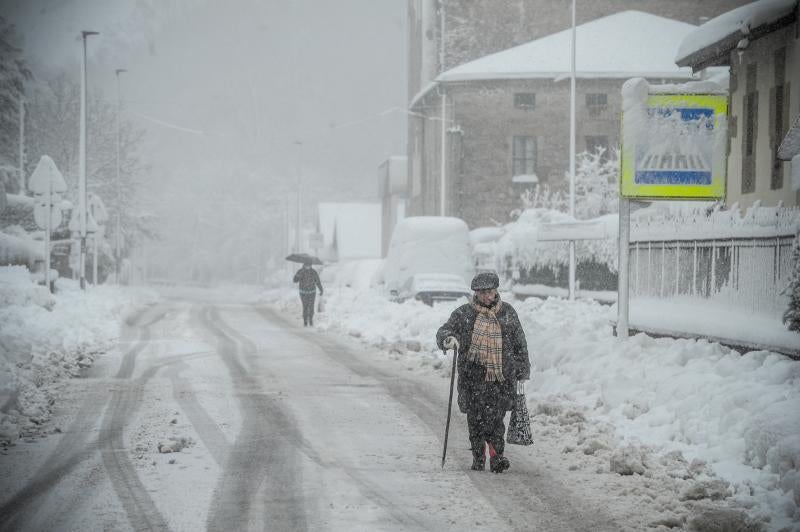 El espesor de nieve ha sido importante en Vitoria y sus alrededores.