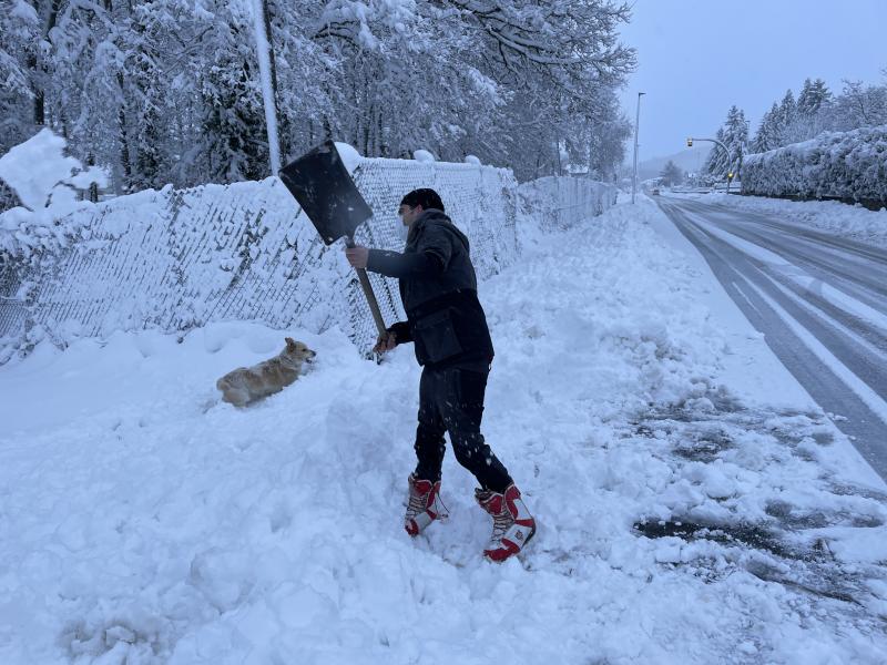 El espesor de nieve ha sido importante en Vitoria y sus alrededores.