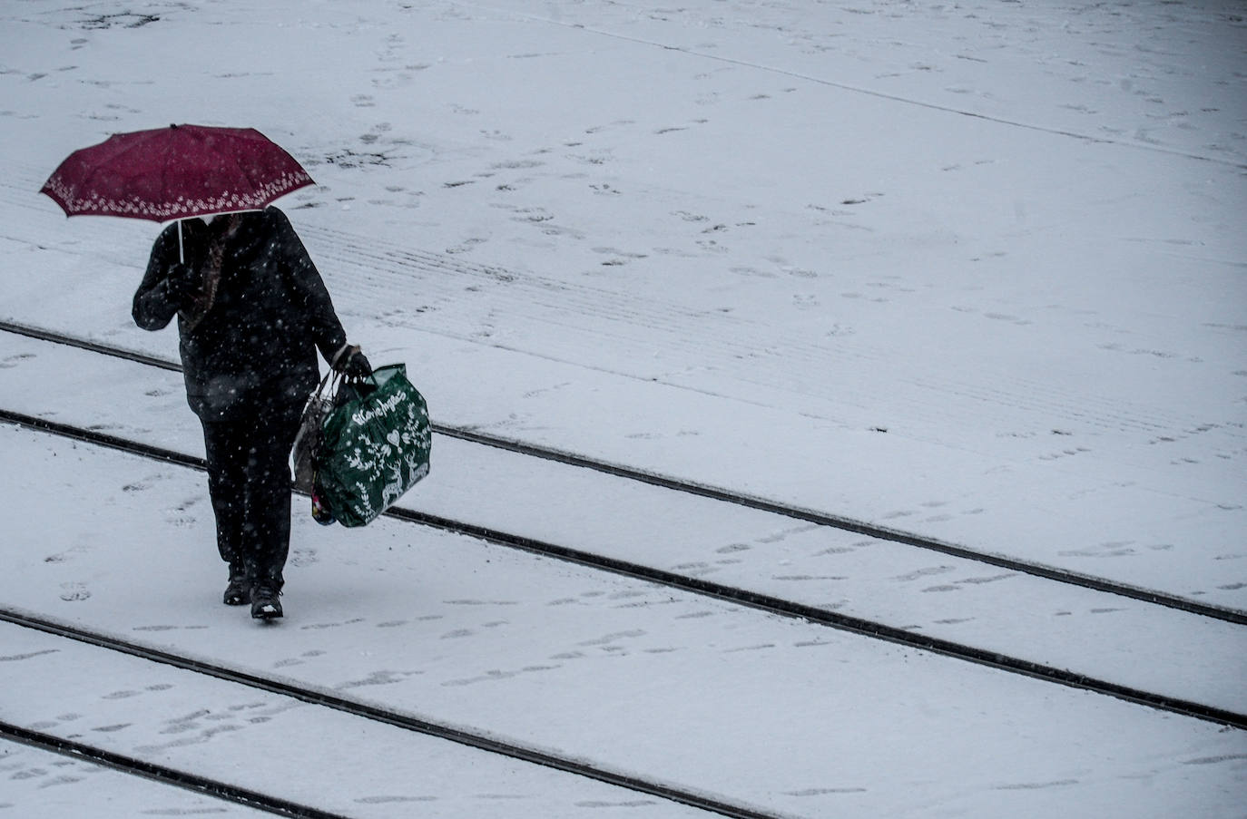 Fotos: La nieve vuelve a cubrir de blanco Álava