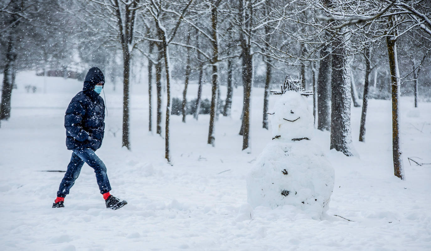 Fotos: La nieve vuelve a cubrir de blanco Álava