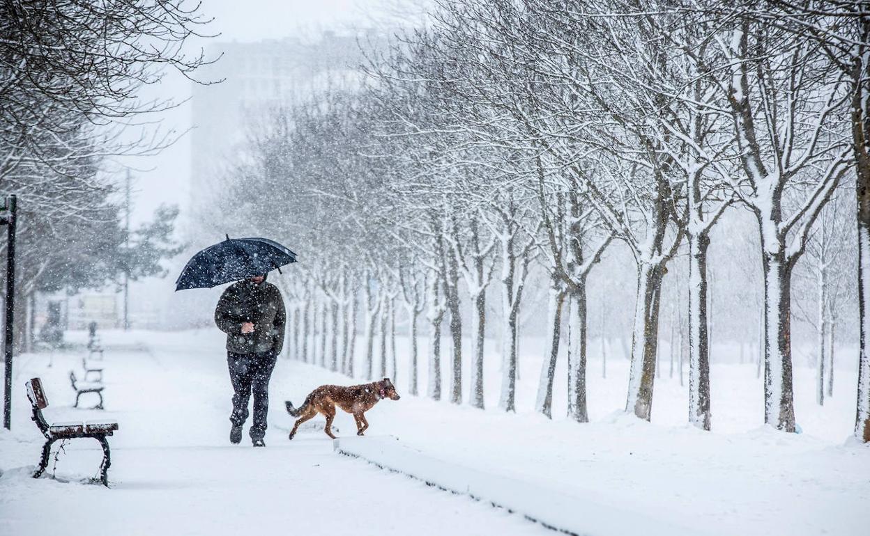 Un hombre camina junto a un perro por un paraje nevado.