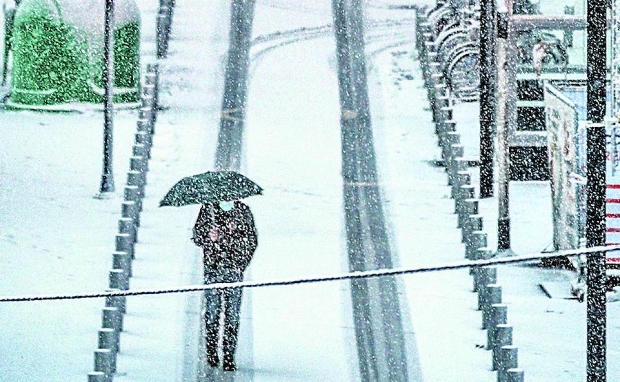 La nevada más copiosa de la jornada se produjo hacia las 8.30 horas en Vitoria.