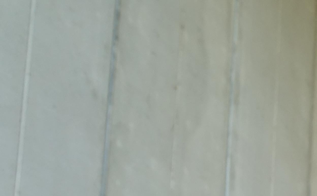 Alain Ribeiro confía en que el Barakaldo revierta su situación deportiva 