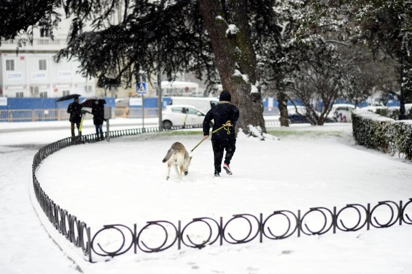 Un hombre pasea a su perro en el segundo día de nieve en la capital tras el paso de la borrasca Filomena, en Madrid. 