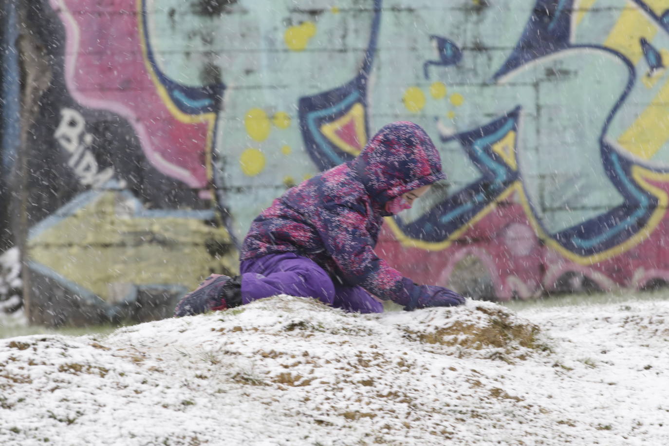 Fotos: Nieve en Urkiola y La Arboleda