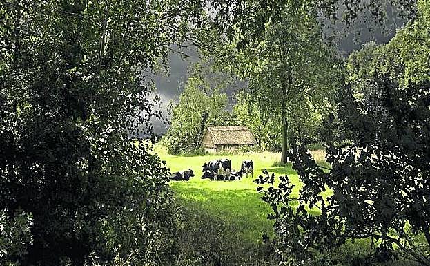 Otra de sus fotografías.