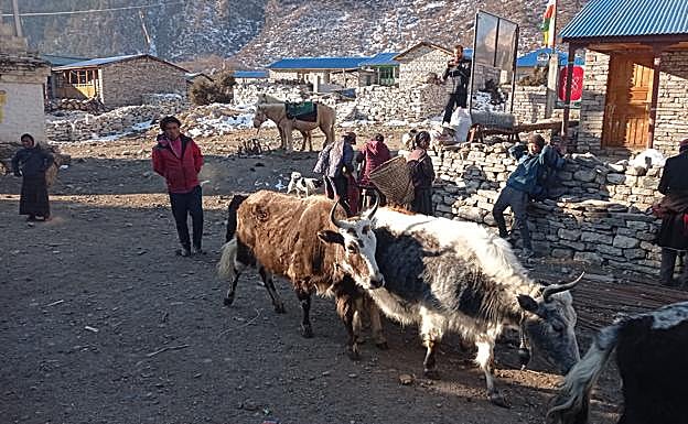 Imagen del campo base.