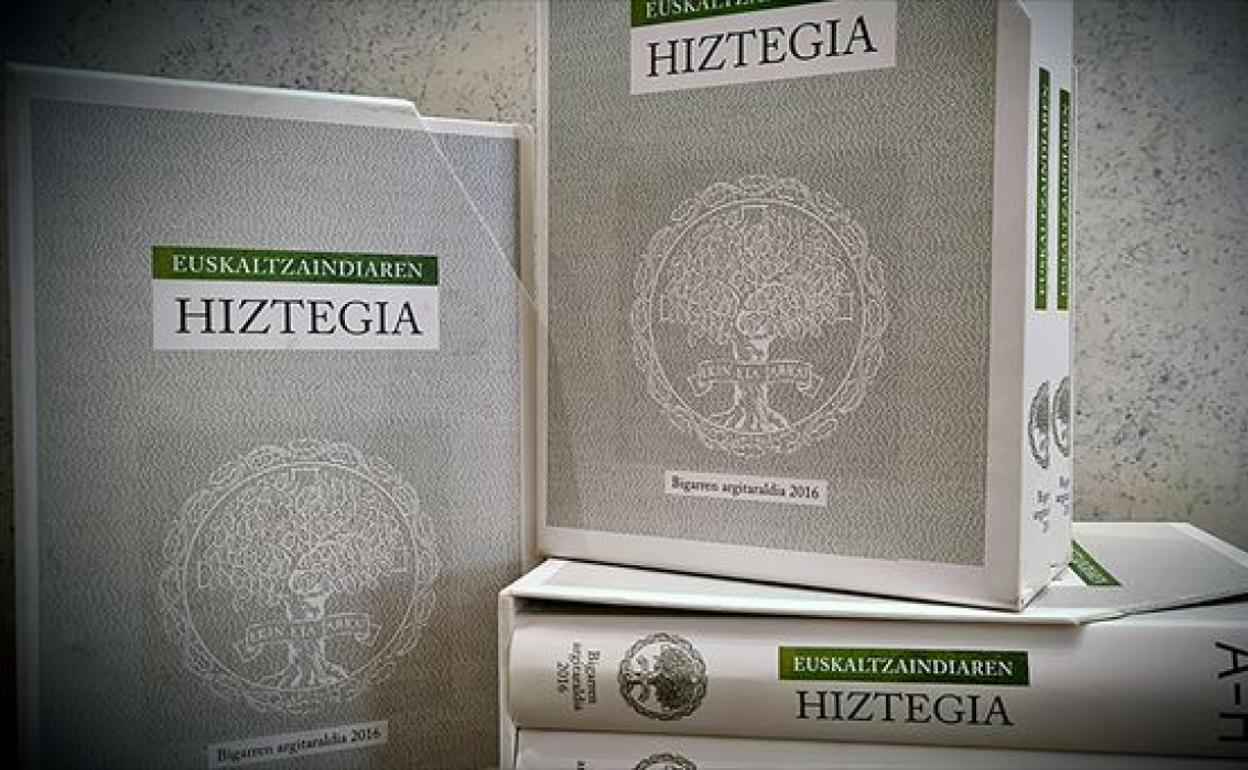 600 forma berri gehitu dira Euskaltzaindiaren hiztegira