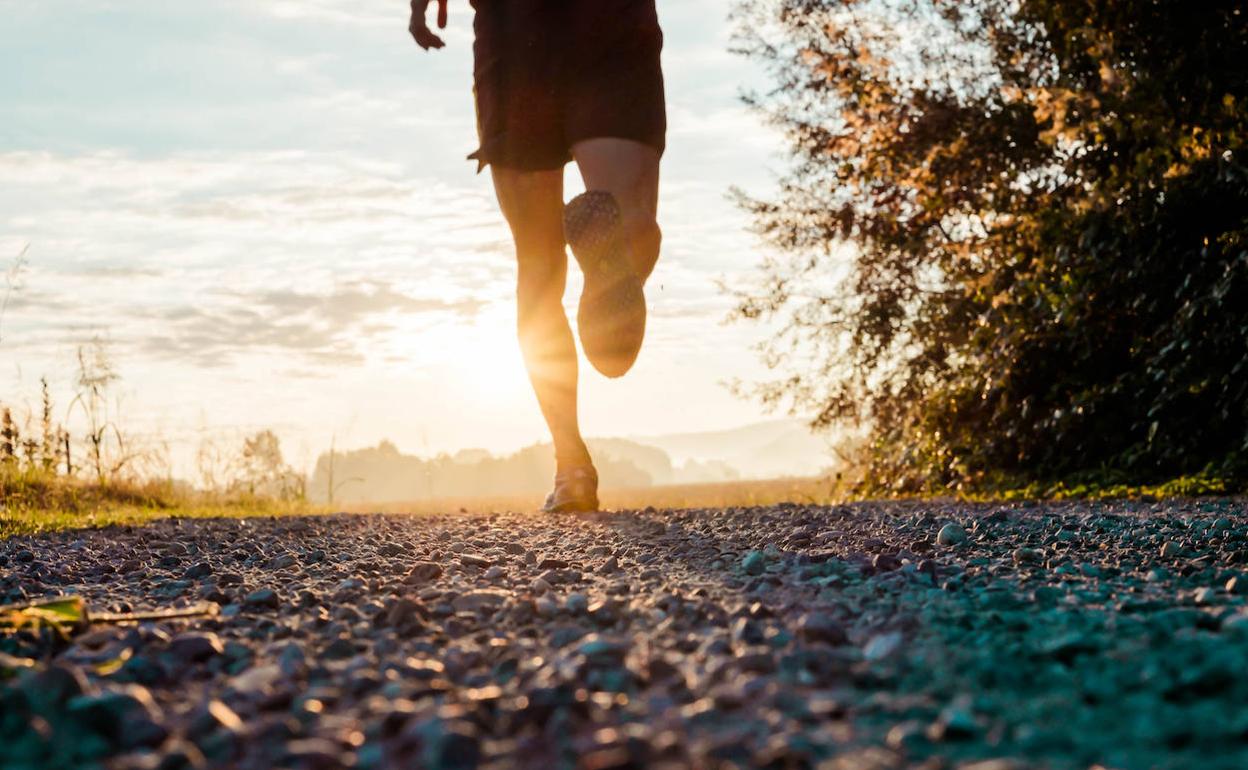 Herritarrek zein enpresek parte hartu dezaketen lasterketa birtual solidario bat antolatu du UNICEFek