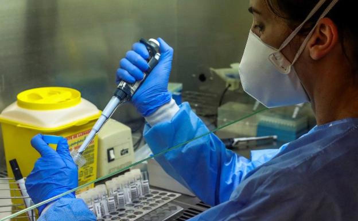 Ya son 24 los contagiados en Euskadi por la cepa británica del coronavirus