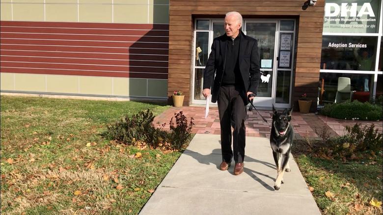 El exvicepresidente de EE. UU., Joe Biden, guía a su nuevo perro de rescate Major después de adoptarlo de la Delaware Humane Association en Wilmington, Delaware, el 17 de noviembre de 2018.