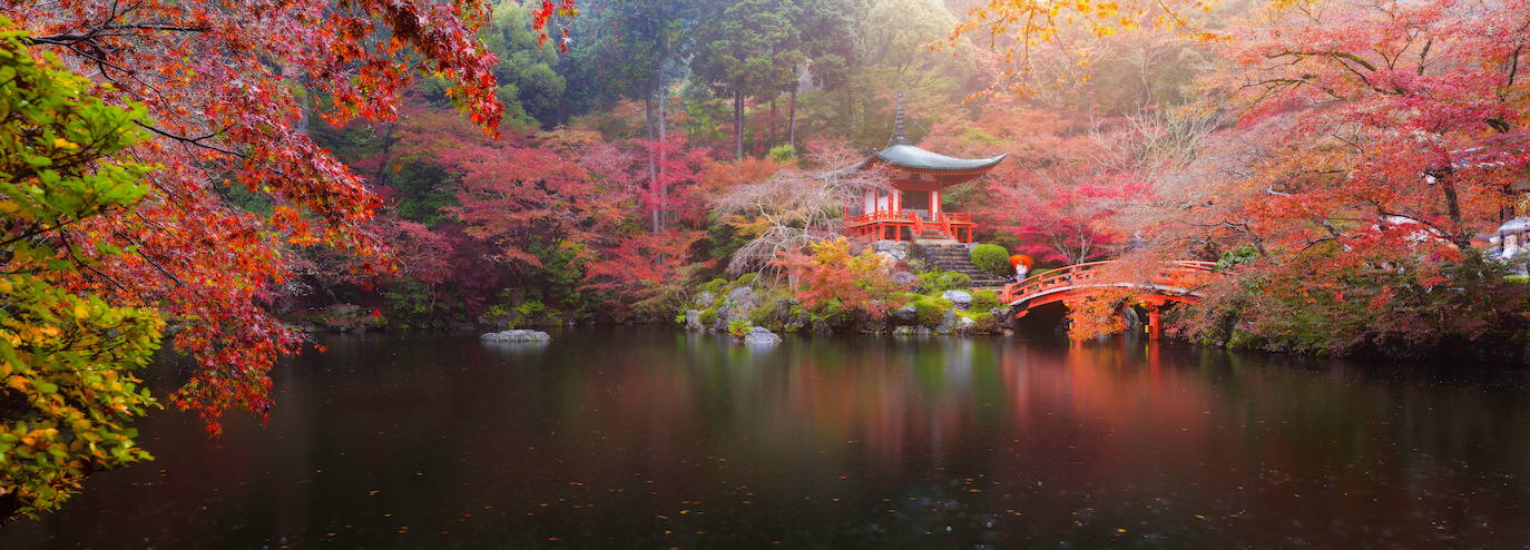 Fotos: Kioto, un edén de flores y color