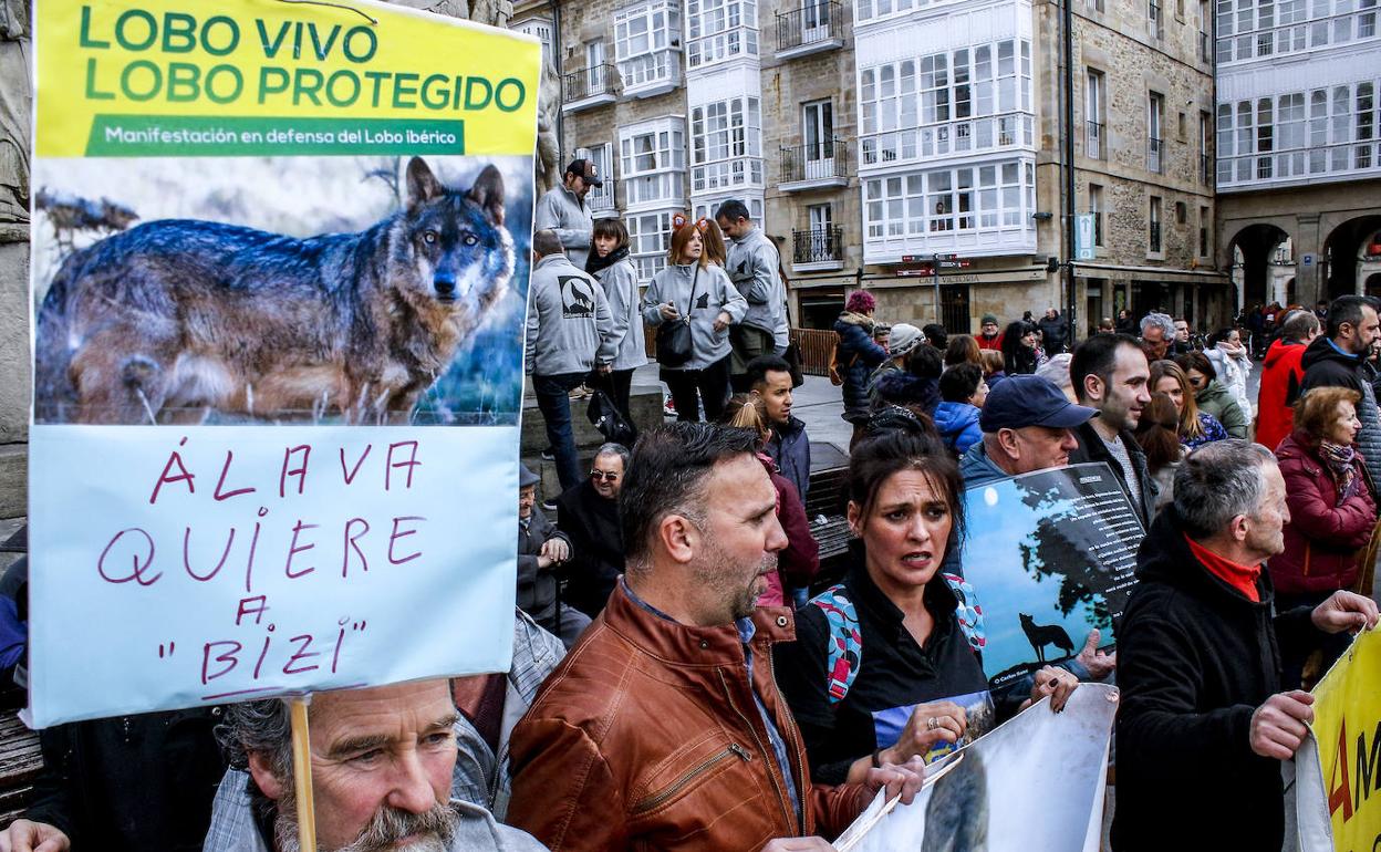 Colectivos ecologistas, en una movilización en defensa del lobo en Vitoria.