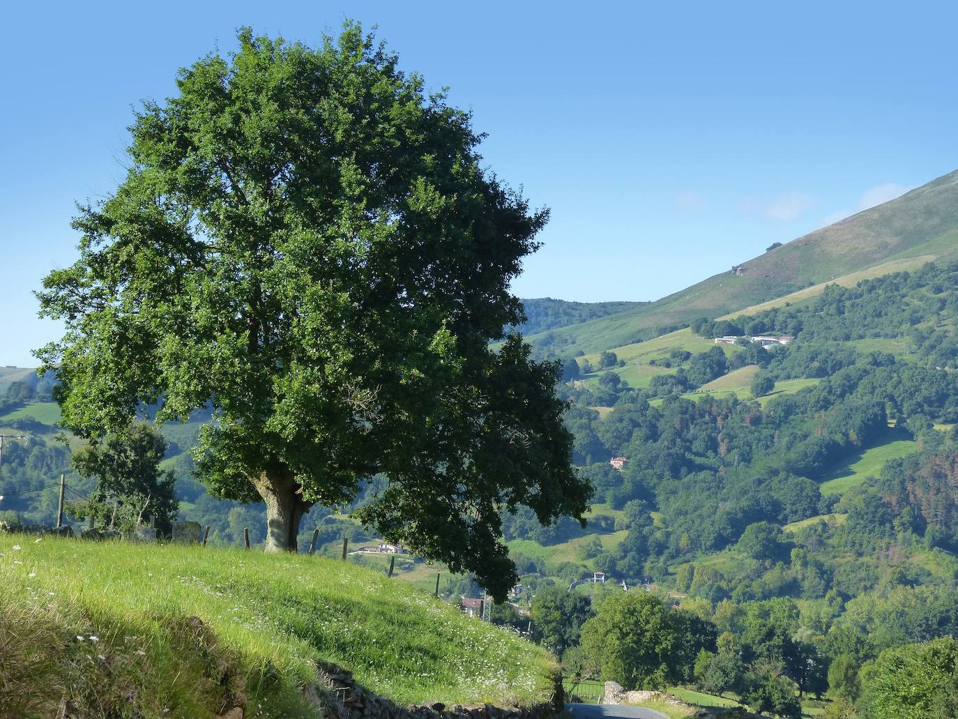 8.- Bosques de la comarca del Baztán (Navarra) | Existe un curioso mapa con cuatro rutas de brujería por Navarra, desde la comarca de Sangüesa y Lumbier hasta Améscoa.