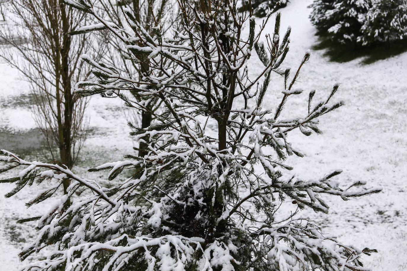 Fotos: La nieve vuelve a Álava