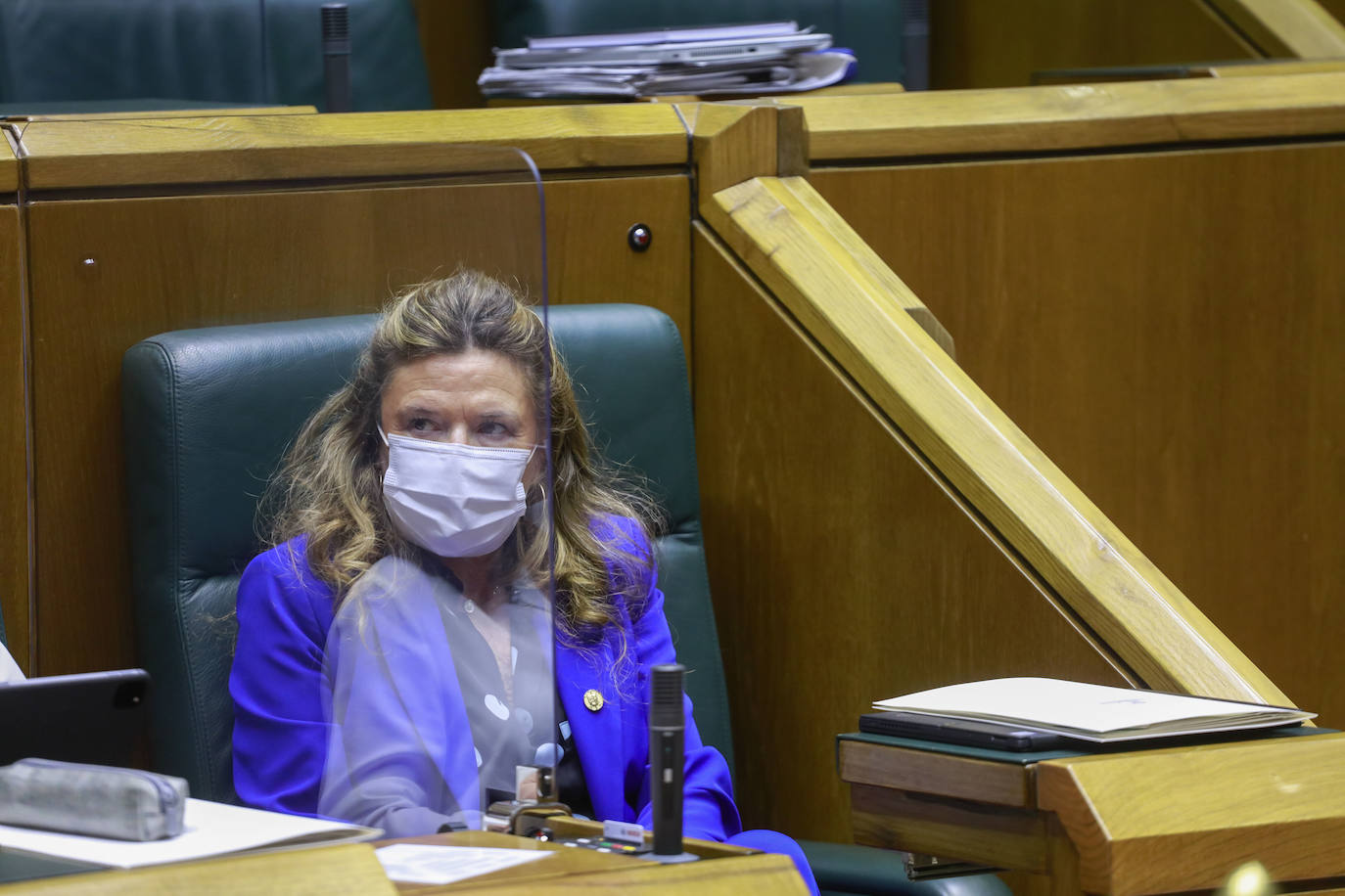 La consejera de Salud, Gotzone Sagardui, durante una sesión en el Parlamento vasco.