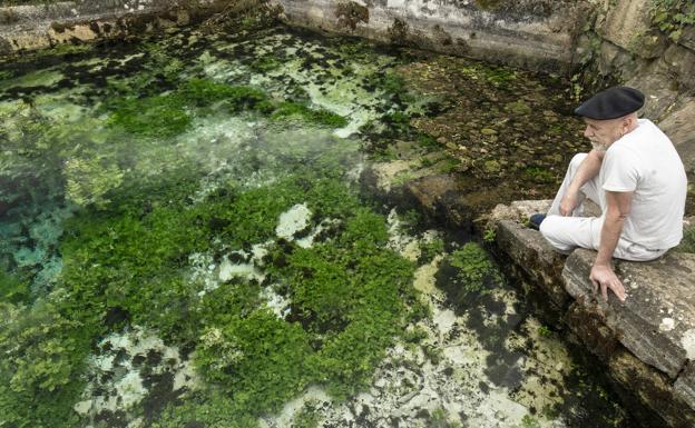 El manantial forma un estanque cristalino, de aguas límpidas y gélidas, tachonadas por algas y plantas fosforescentes.