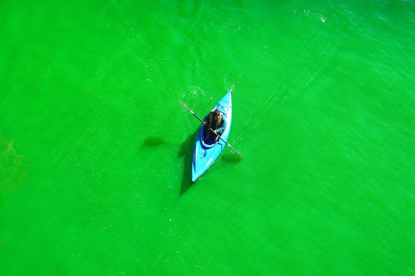 Vista de el río Chicago después de haber sido teñido de verde en celebración del Día de San Patricio en Chicago, Illinois.