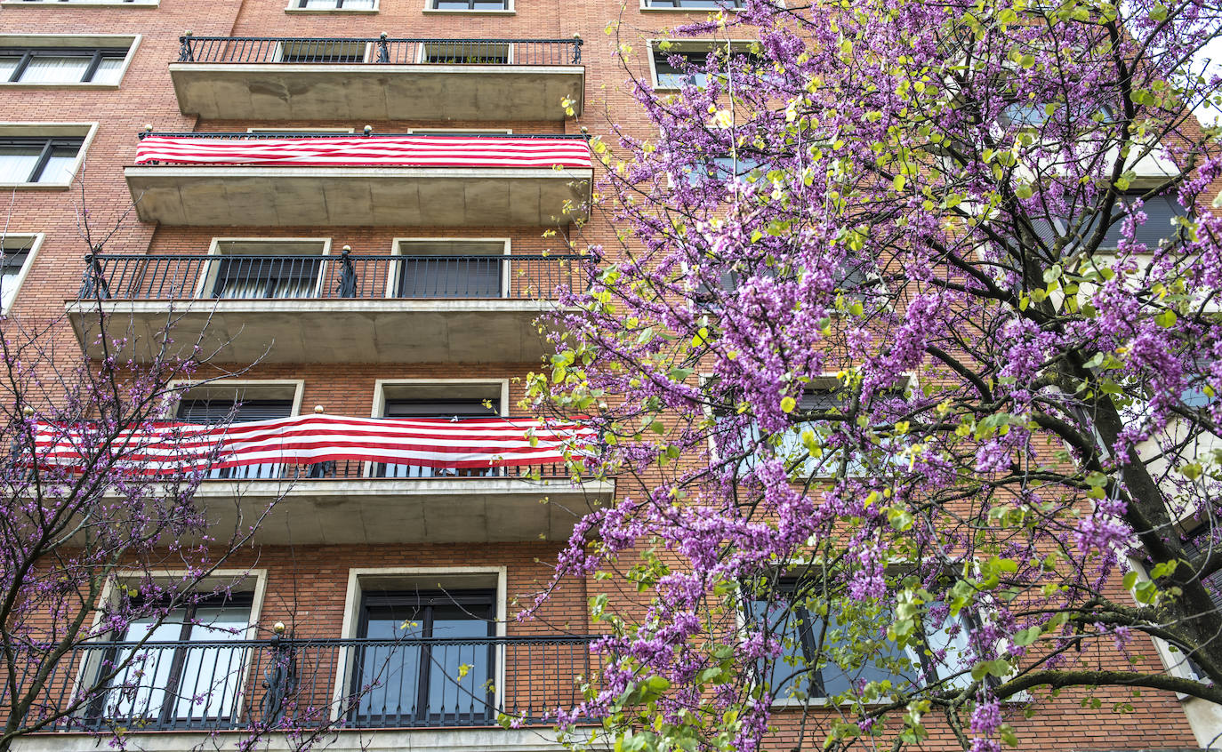 Jardín Ramón Berge y Salcedo.