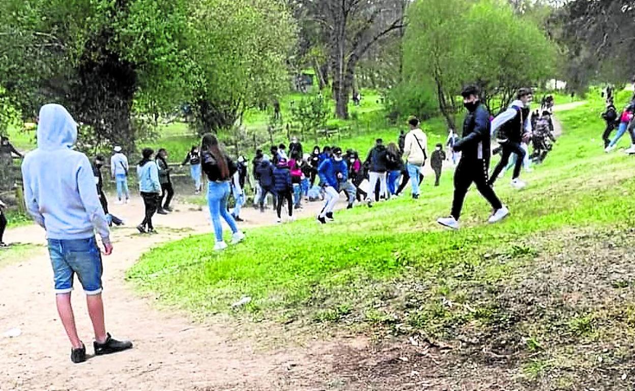 Jóvenes en el pinar de Gorliz.