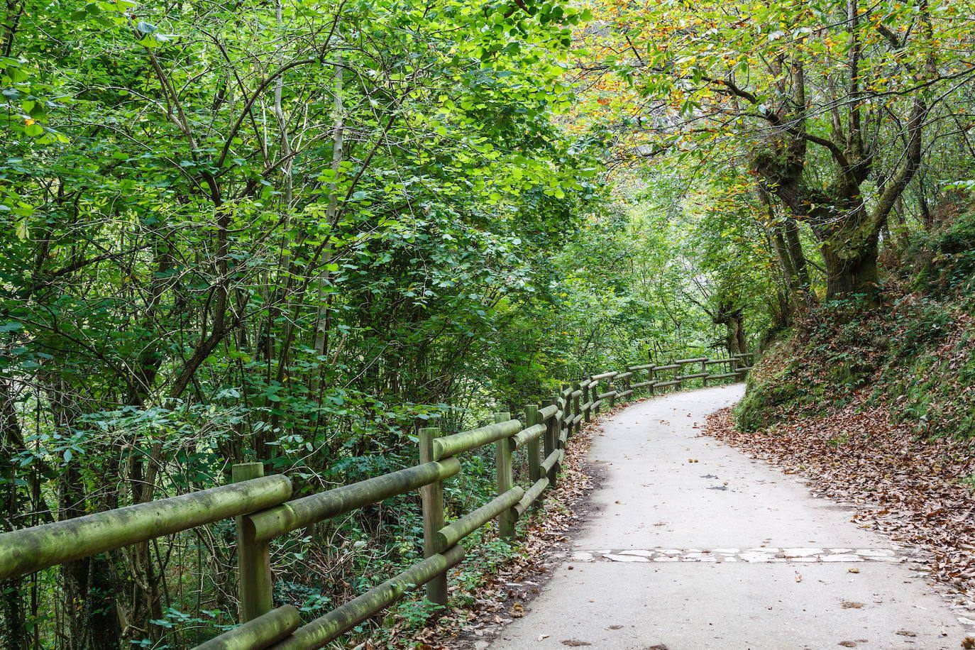 Ruta del Alba (Parque Natural de Redes, Asturias)