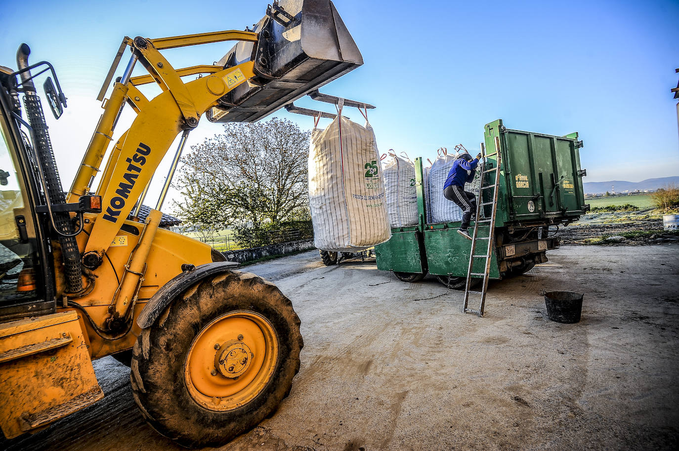Fotos: Nacerán y se llamarán Monalisa y Lucinda