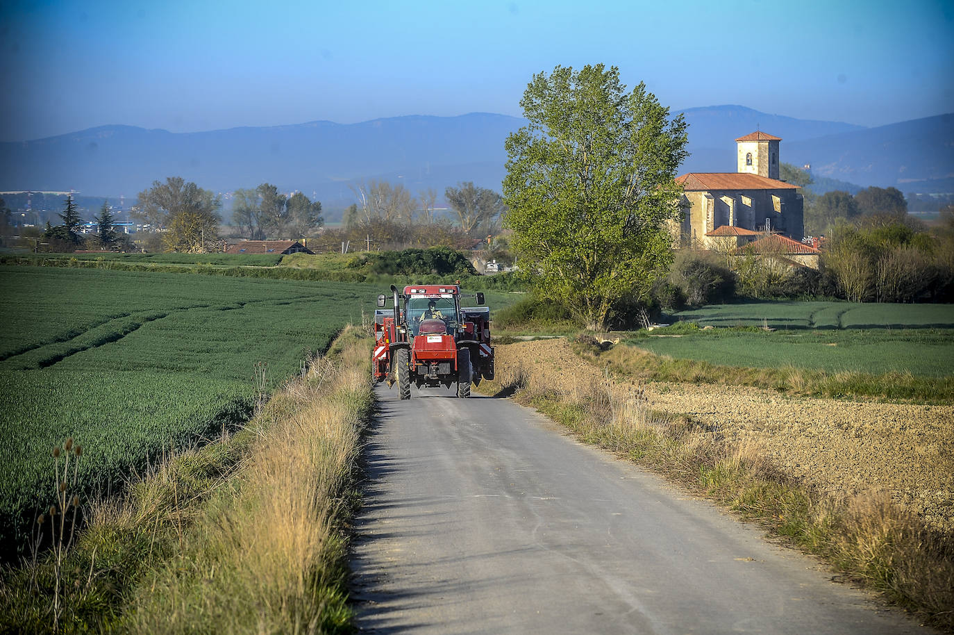 Fotos: Nacerán y se llamarán Monalisa y Lucinda