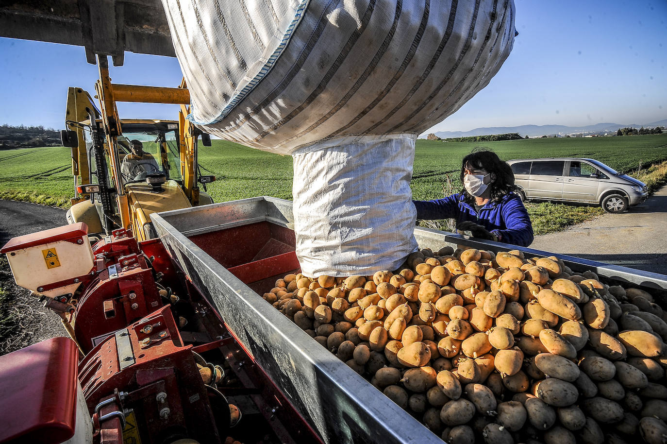 Fotos: Nacerán y se llamarán Monalisa y Lucinda