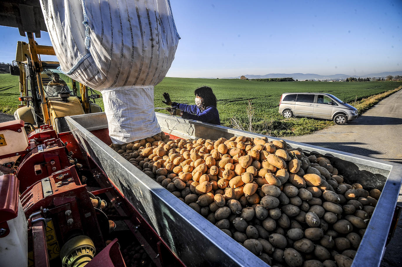 Fotos: Nacerán y se llamarán Monalisa y Lucinda