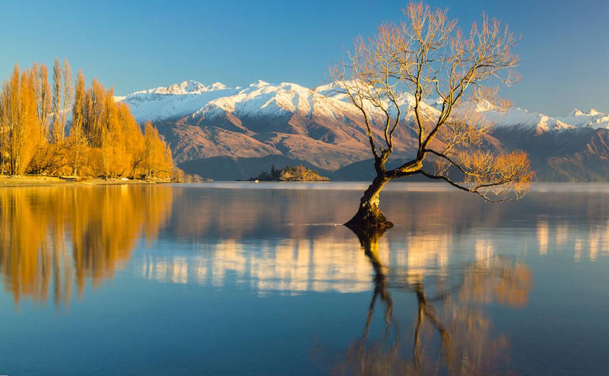 Bertako 200 enpresa eta erakunde inguruk 2023. urtetik aurrera txostenok aurkeztu beharko dituzte. 