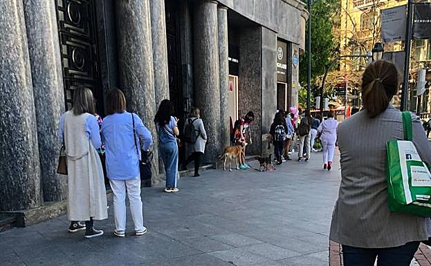 Colas para acceder a Singularu. 